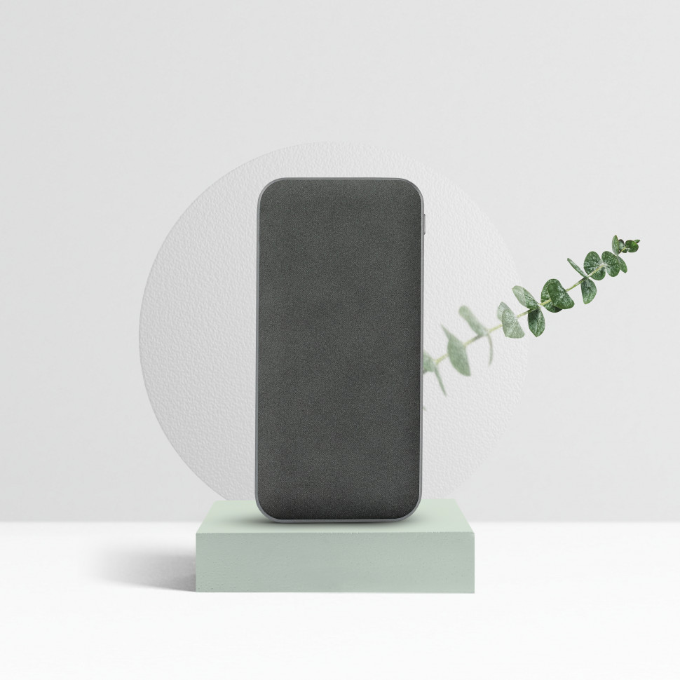 Внешний аккумулятор Ин Велюр (In Velour) 10000 mAh