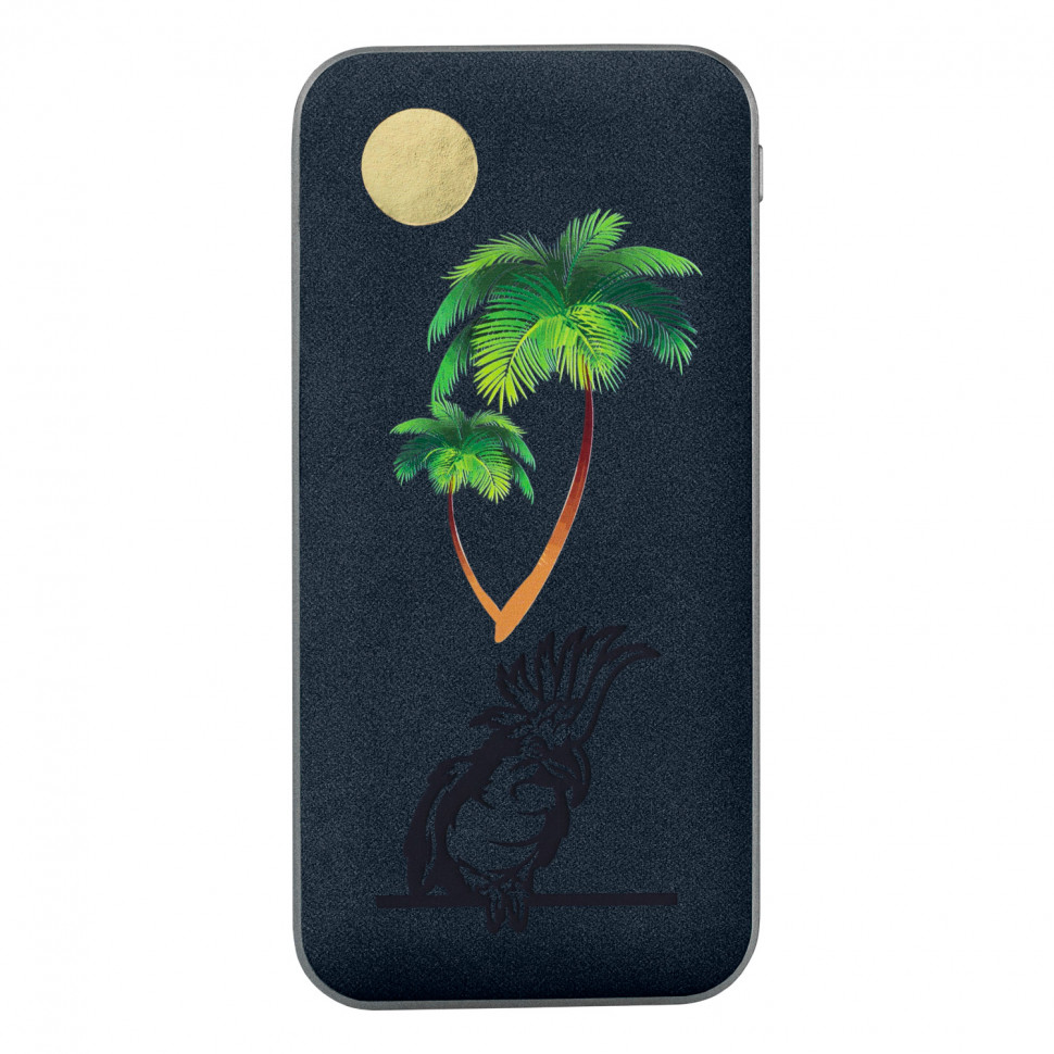 Внешний аккумулятор Ин Велюр (In Velour) 10000 mAh