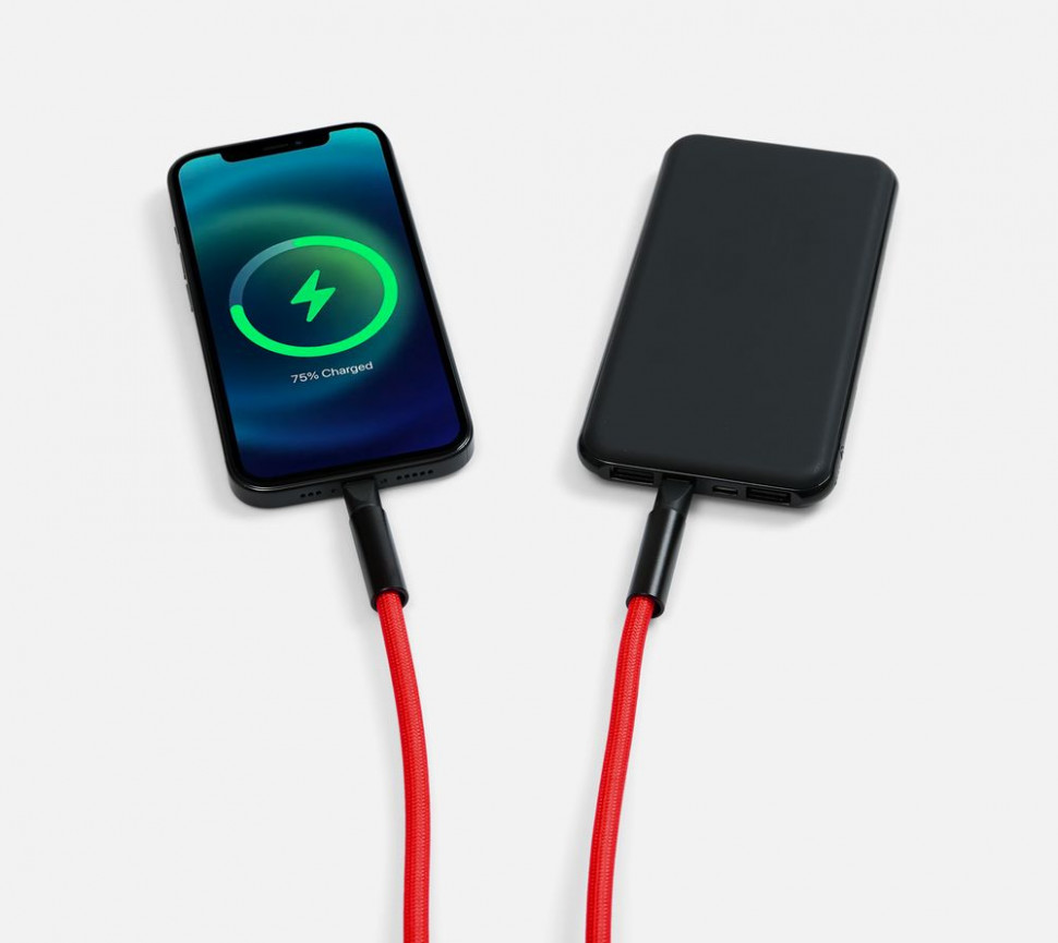 Кабель-ланьярд energyFlex Power Delivery 60 Вт, красный