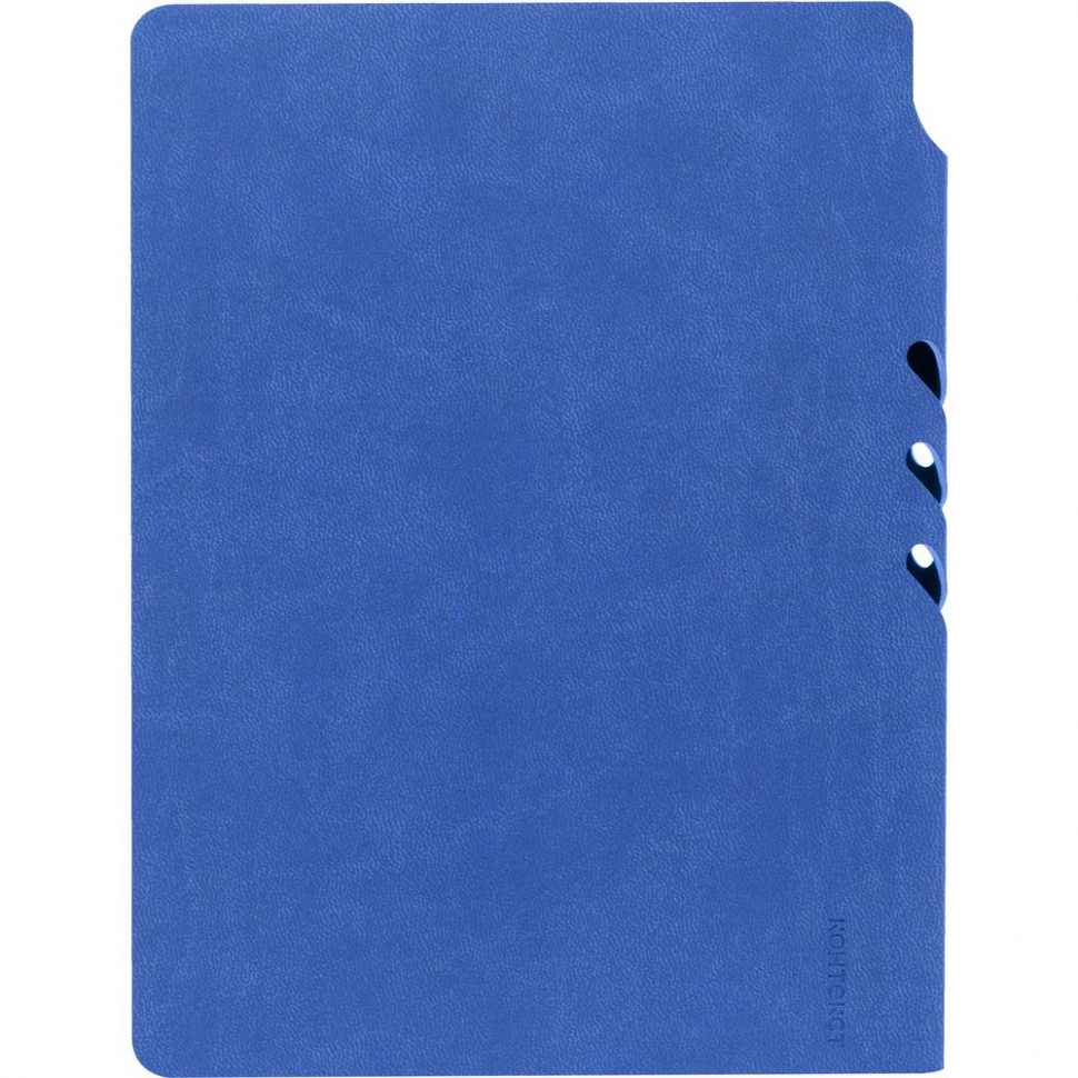 Ежедневник Flexpen Color, датированный
