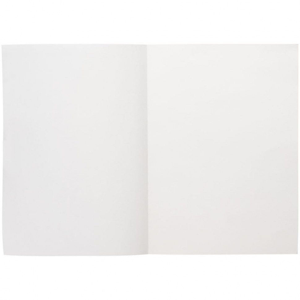 Ежедневник Flat Light, недатированный