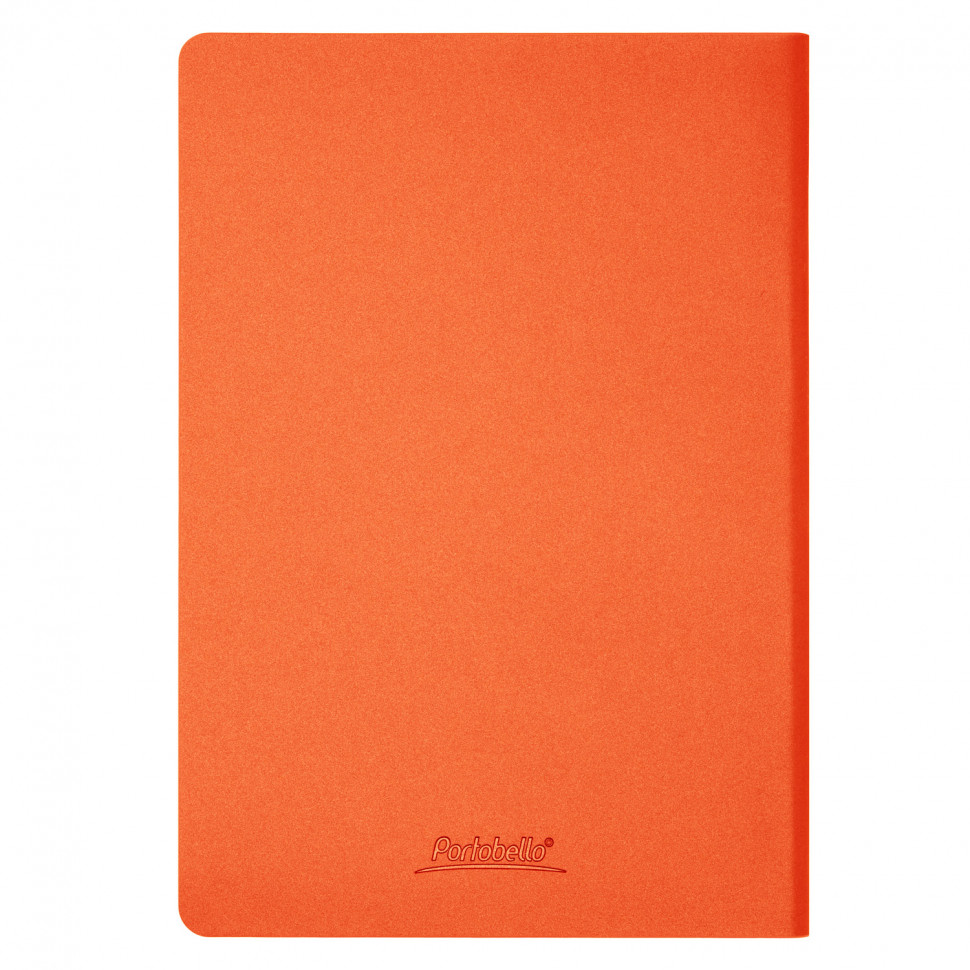 Ежедневник Мун Ривер (Moon River) недатированный, стальной