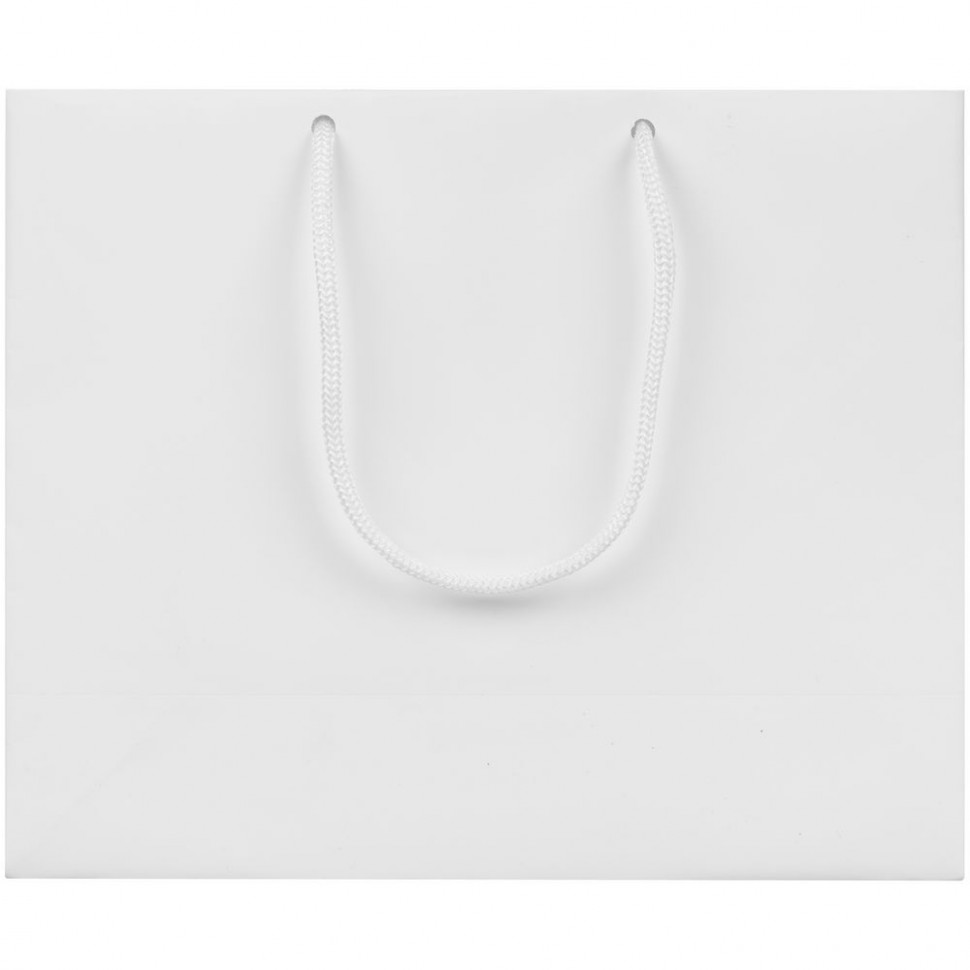 Пакет бумажный с ламинацией Lami Tote S
