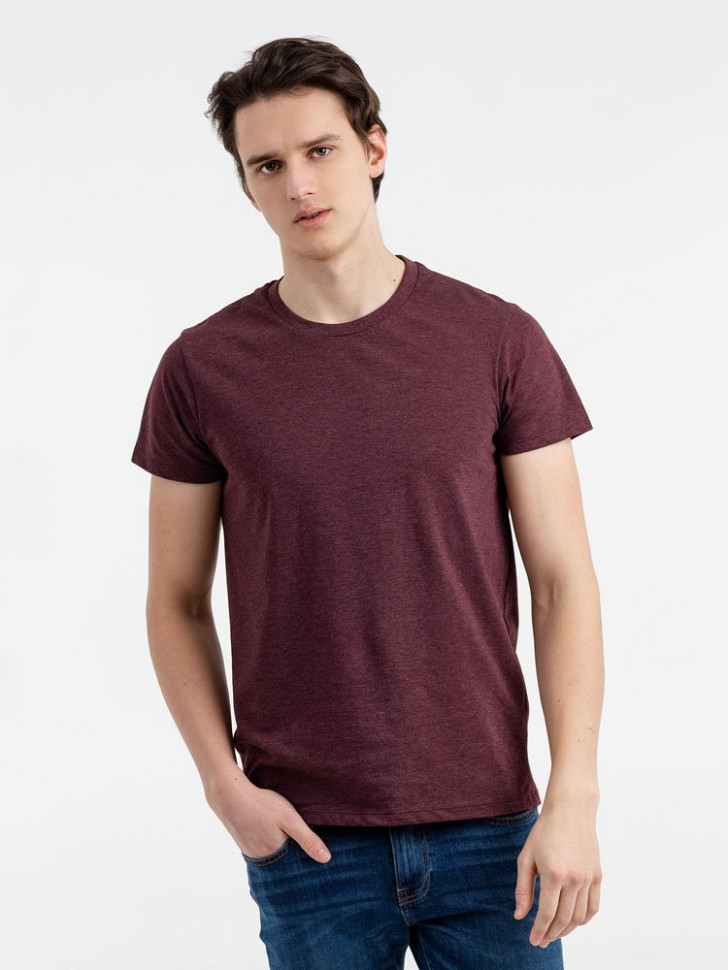 Футболка мужская Regent Fit 150
