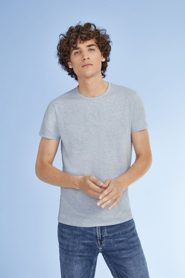 Футболка мужская Regent Fit 150