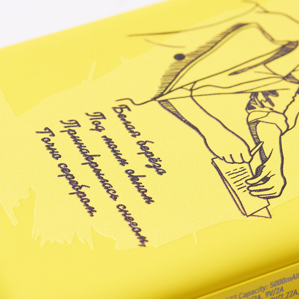 Внешний аккумулятор Ларго PD (Largo PD) 5000mAh с функцией беспроводной зарядки 15W